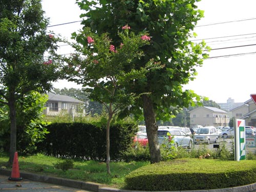 Ｅ棟入口で、かなり貧弱になります