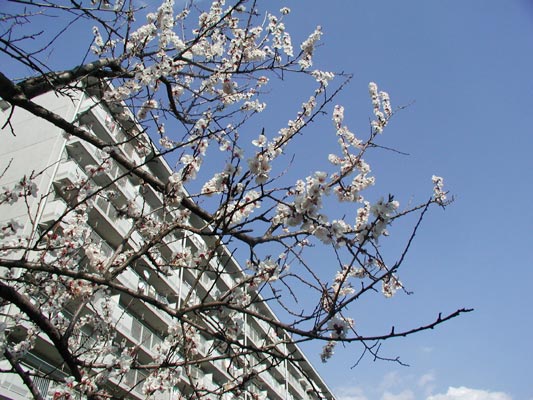 ちょっと見上げて☆