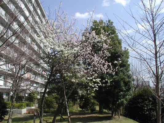 全体はこんな感じ★