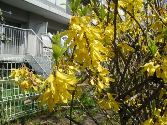 さらにUP☆