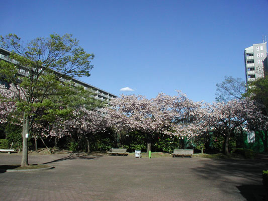 管理センター広場☆