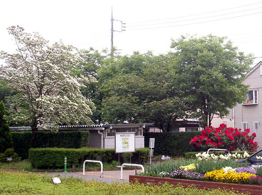 管理センター前の花壇と芍薬と一緒に☆